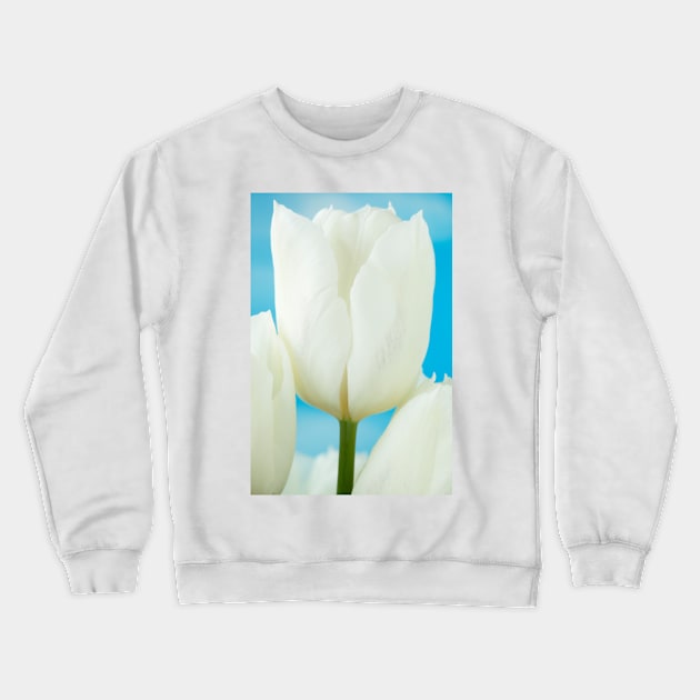 Tulipa  'White Dream'  Tulip Crewneck Sweatshirt by chrisburrows